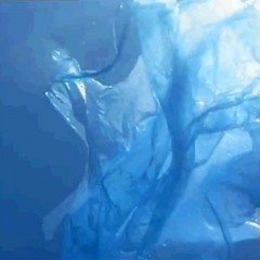 Plastic and our Oceans